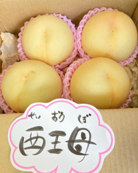 桃　西王母 2022/09/10 06:09:06