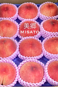 美郷 2023/07/14 01:30:05