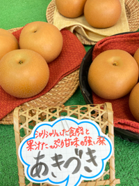 梨とコンポート 2023/10/06 05:43:40