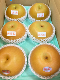 あと3週間ほど。。。 2022/10/12 05:22:47