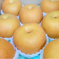 梨3種 2022/10/16 06:06:08
