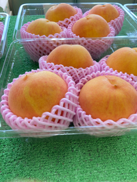 黄桃最盛期 2022/08/14 03:23:37