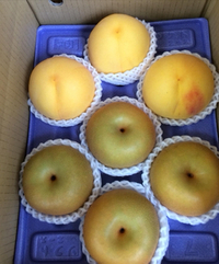 黄桃と梨 2022/08/19 05:49:00