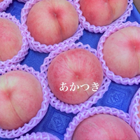 明日は少ないです‼︎ 2024/07/13 23:12:37