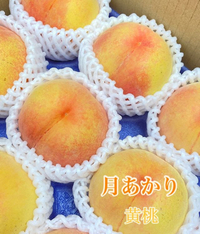 桃と黄桃ととすももとネクタリン 2024/07/19 00:59:10