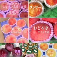 7/21(日)のご案内 2024/07/20 22:11:53