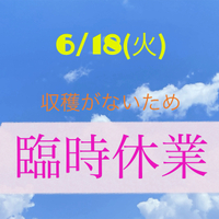 臨時休業 2024/06/18 06:16:08