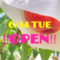 Open‼︎ 2022/06/14 00:11:23