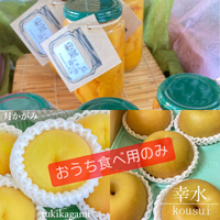 明日午後は早めの閉店となります。 2024/08/10 20:04:50
