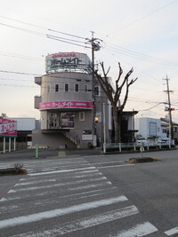 外観・内観