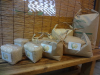 自然栽培米　完売しました