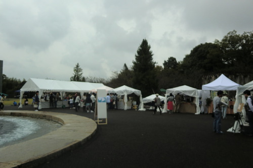 豊田市美術館