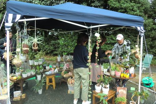 豊田市美術館前庭イベント
