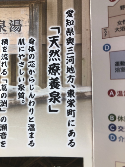 東栄温泉「花まつりの湯」で療養