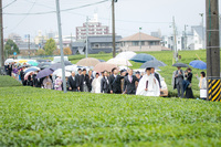 農家の手作り結婚式⑪茶畑で花嫁行列動画