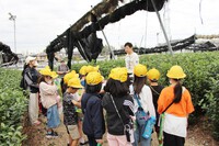 地元小学生の見学を受け入れました☆