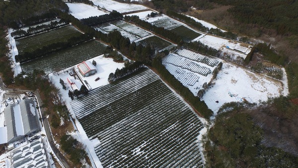ドローン空撮写真！雪のしもやま高原農場♪