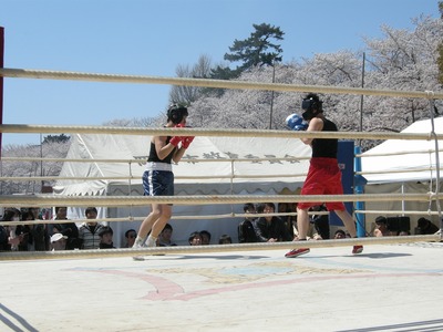桜まつりボクシング大会でナイスファイト！
