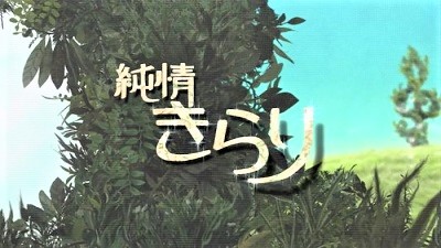 再 放送 きらり 中止 純情