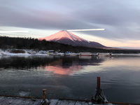 2018年2月 山中湖ドーム船 ワカサギ釣り 2018/03/25 08:00:00