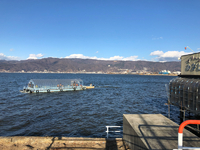 2019年2月 諏訪湖 ワカサギ釣り