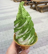 帰宅しました〜(*ˊૢᵕˋૢ*) 2015/10/05 08:28:48