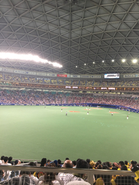 頑張れドラゴンズ❗️ 2019/07/15 18:29:53