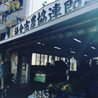 鎌倉野菜 2019/04/04 10:49:27