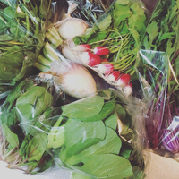 新鮮 旬野菜が大量入荷❗️ 2019/04/25 19:40:49
