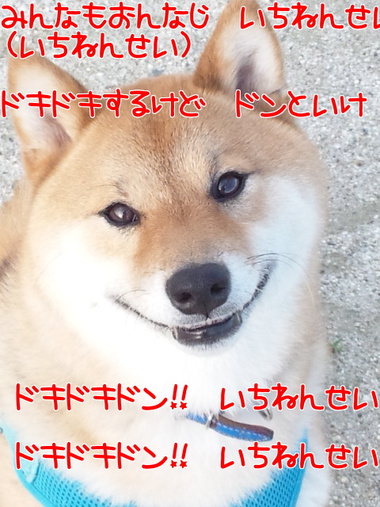 小学校入学おめでとうございます！
