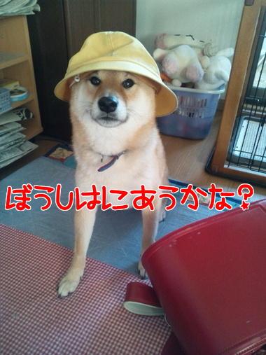 小学校入学おめでとうございます！