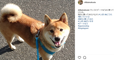 肉団子