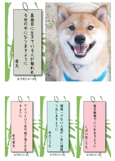 みんなのお願い事は何ですか？