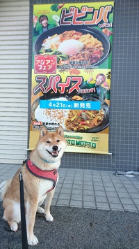 ほっともっと も夏になる 2021/04/21 13:44:15
