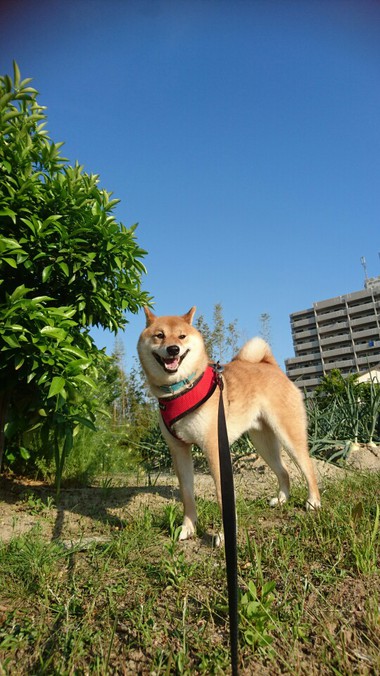 今日も元気でありがとう！