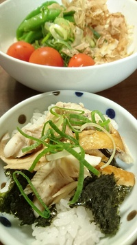 ホッケ丼2種と柴犬2種 2021/05/03 13:53:07