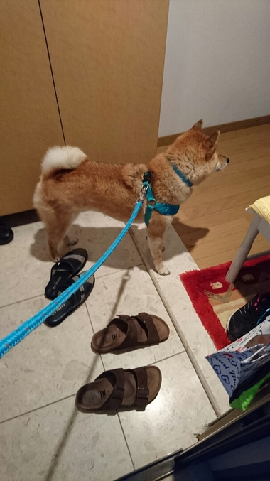 相合傘