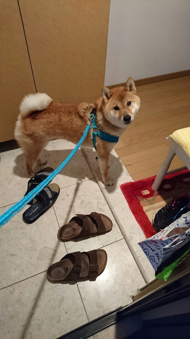 相合傘