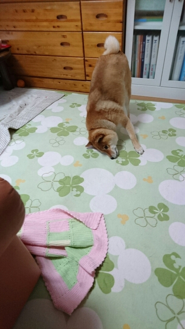 悲しい顔・・・。