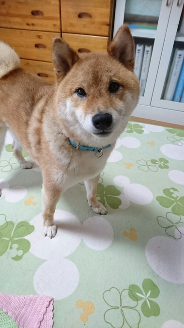 悲しい顔・・・。