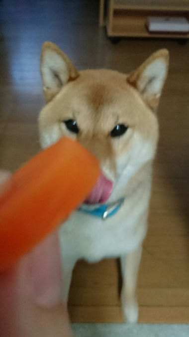 お弁当のつまみぐい