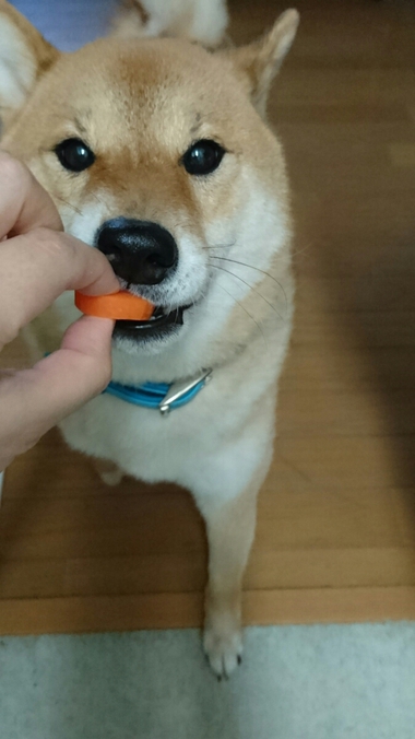 お弁当のつまみぐい