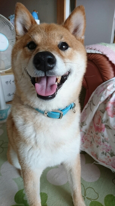 悲しい顔・・・。