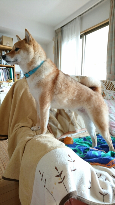 ばぁ～ちゃん帰って来た！！