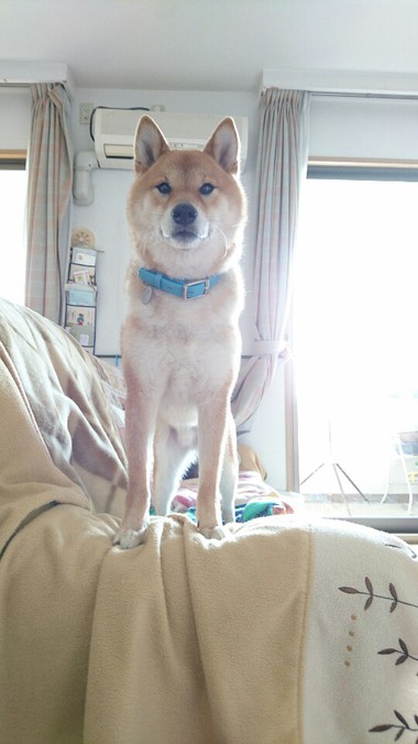 ばぁ～ちゃん帰って来た！！