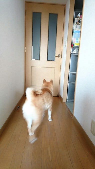 ばぁ～ちゃん帰って来た！！
