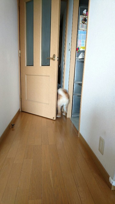 ばぁ～ちゃん帰って来た！！