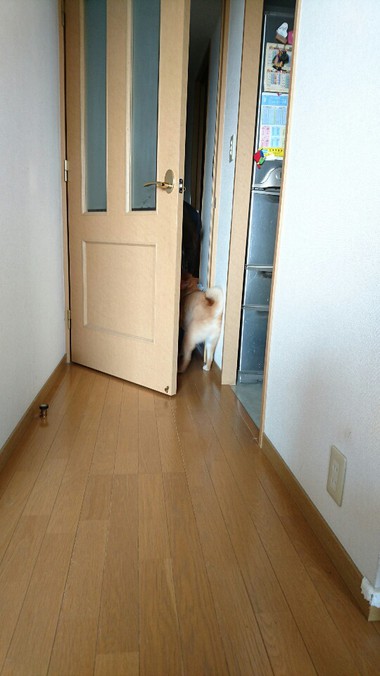 ばぁ～ちゃん帰って来た！！