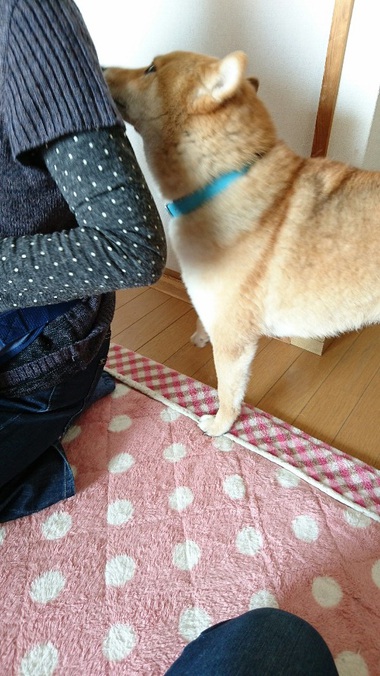 ばぁ～ちゃん帰って来た！！