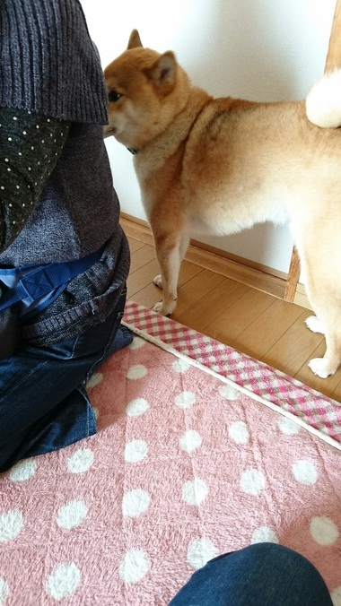 ばぁ～ちゃん帰って来た！！